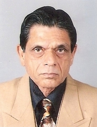 Girish Bhatnagar-P.jpg